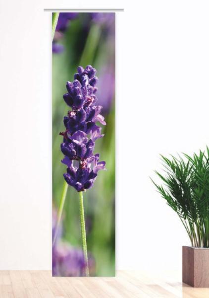 Spätsommerblumen, Flächenvorhang Einzel